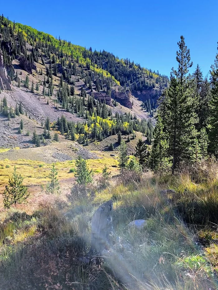 Rosebud Gulch - 1