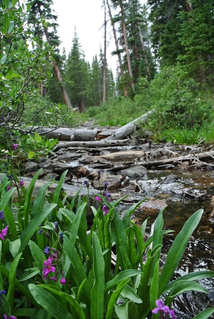 Ptarmigan Lake - 7