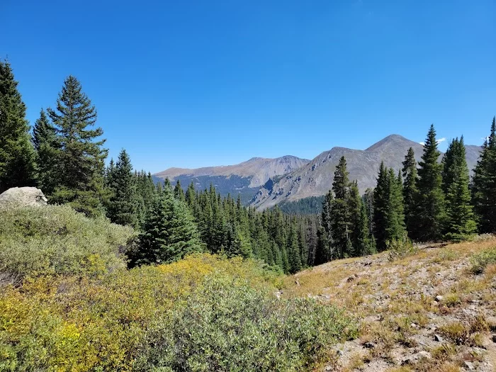 Cottonwood Pass - 4