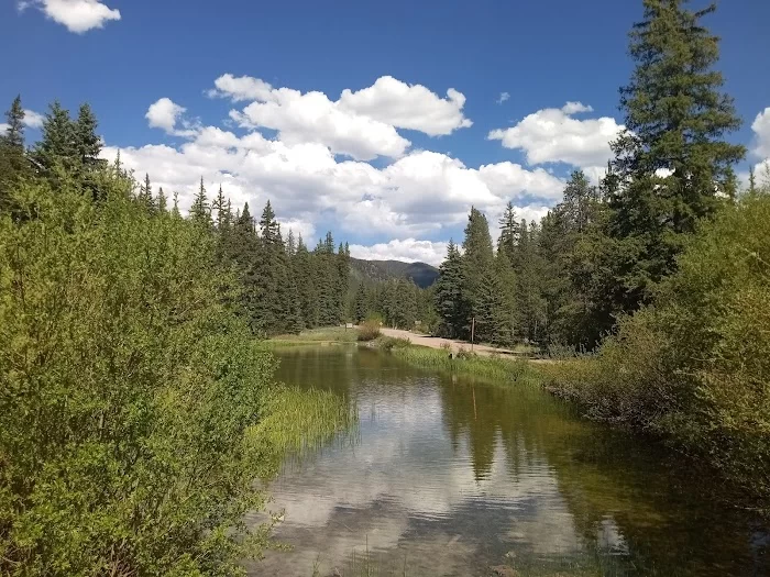 Gunnison National Forest - 6