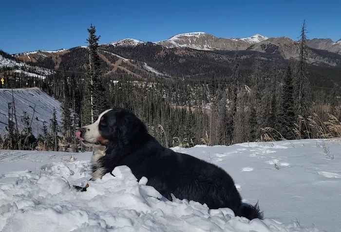 Monarch Pass - 7