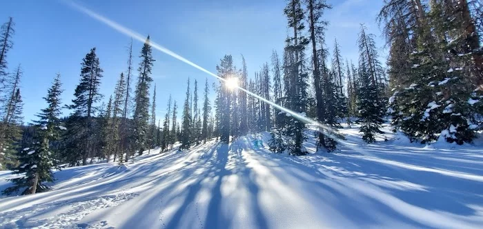 Old Monarch Pass - 0