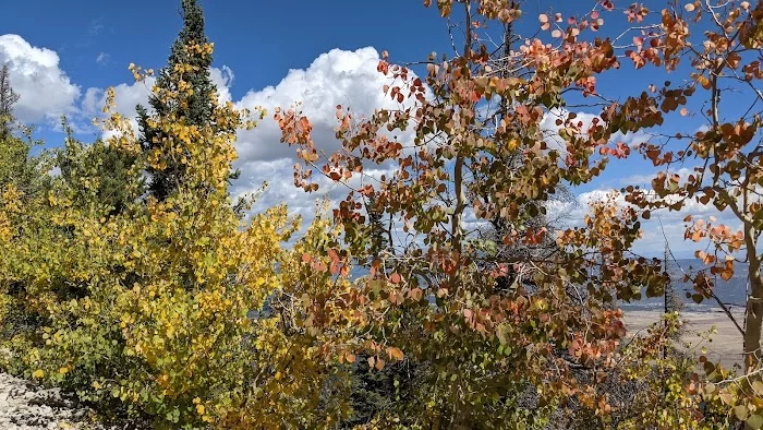 Mount Princeton - 7