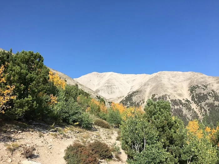 Mount Princeton - 4