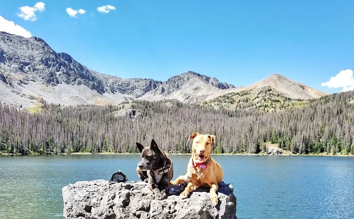 North Fork Reservoir - 1