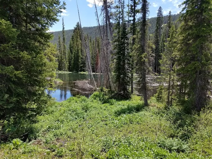 Washington Gulch - 6