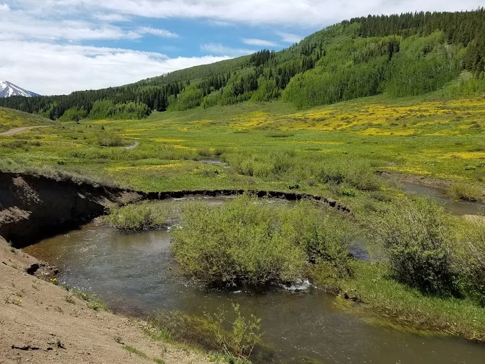 Washington Gulch - 4