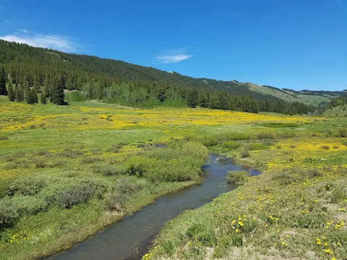 Washington Gulch - 2