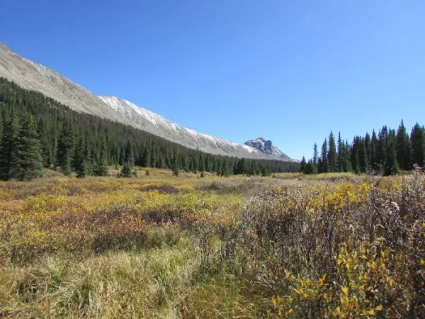 Pomeroy Mountain