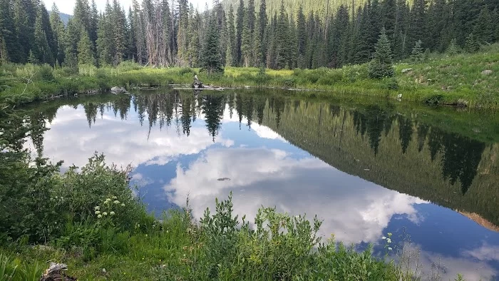 Silver Dollar Pond - 0