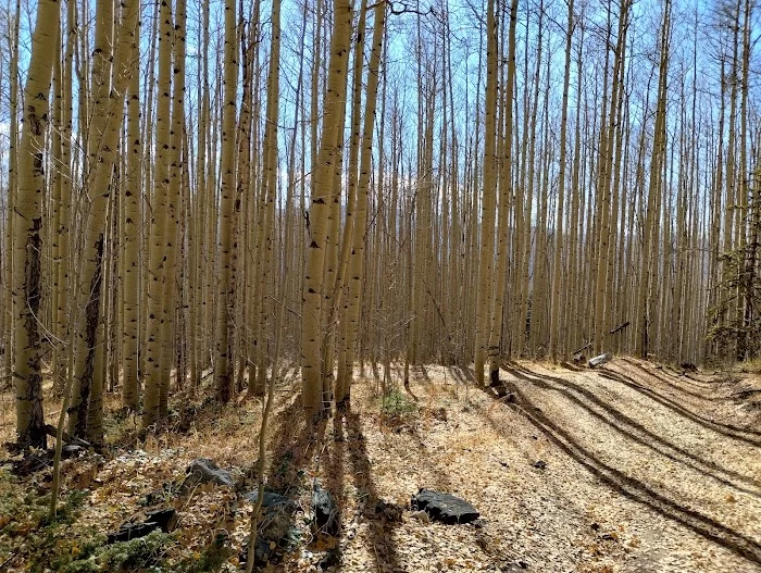 Indian Creek Bog Iron Mine - 3